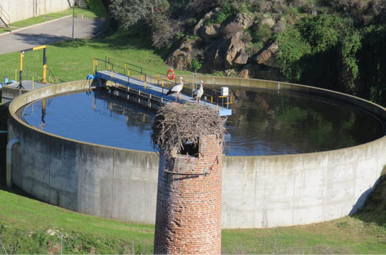 Planta de tratamiento de agua, deposito y zonas verdes 