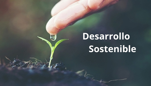 Desarrollo Sostenible. Se abre en ventana nueva